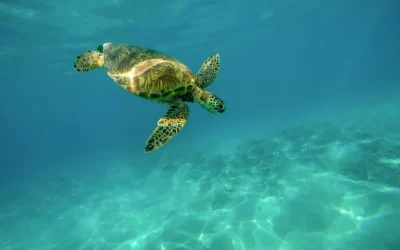 Can we save time by slowing down?