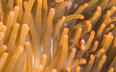 Do you feel safe enough to think?