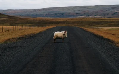Just get out of the way!