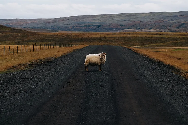 Just get out of the way