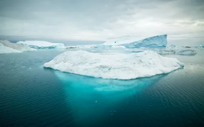 What’s happening beneath the surface?